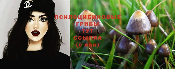 амф Абдулино