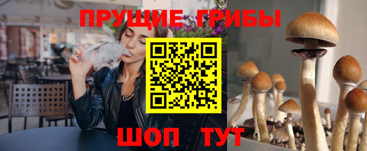 Камень-на-Оби  купить наркотик  Вход с VPN  Галлюциногенные грибы Psilocybine cubensis 