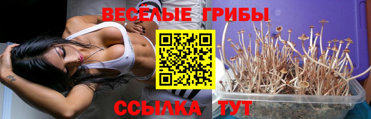 Галлюциногенные грибы мухоморы Камень-на-Оби